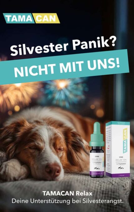 Silvester